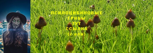 кокаин колумбия Алзамай
