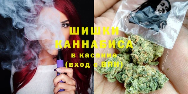 гидра Алексин