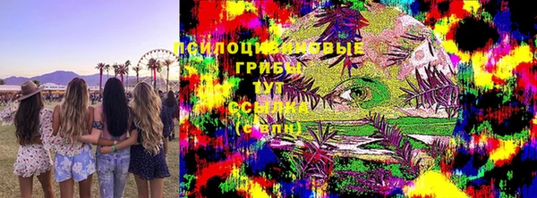 бошки Алексеевка